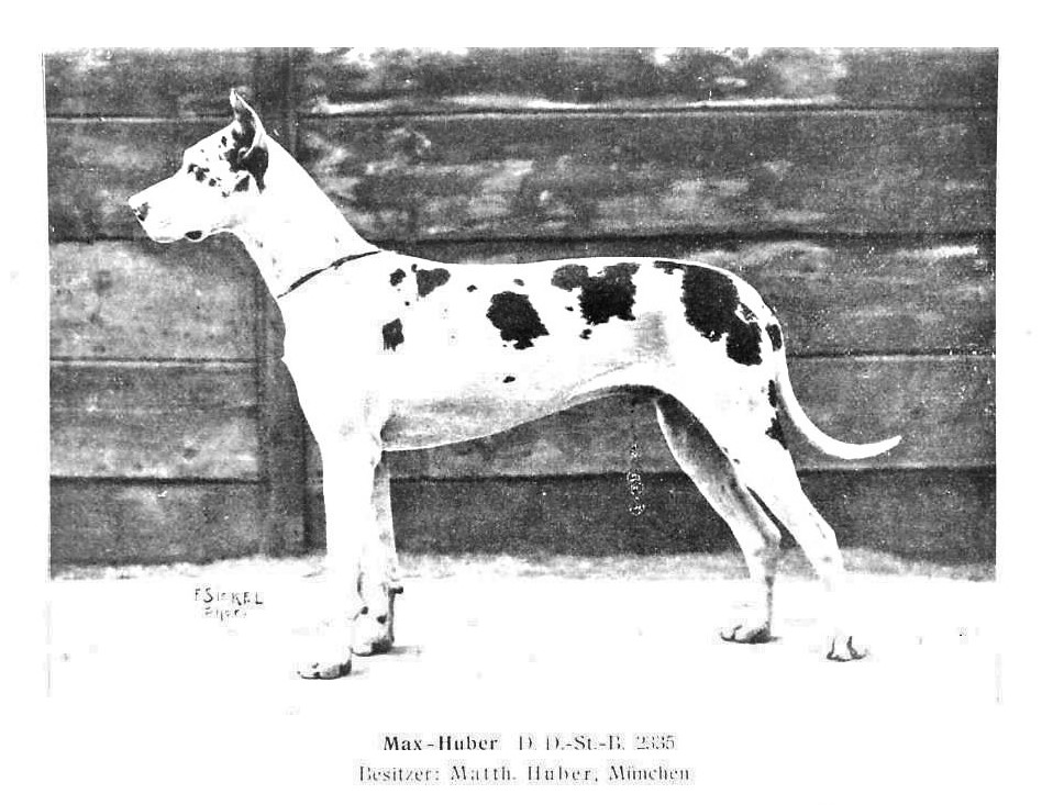 Max-Huber